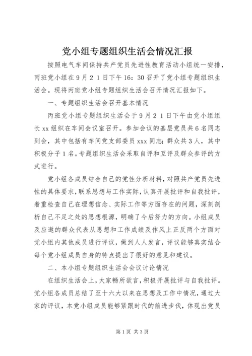 党小组专题组织生活会情况汇报.docx