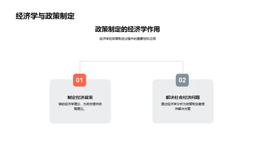 经济学实践精解