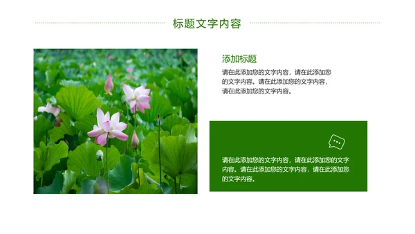 绿色唯美荷花廉政工作总结汇报PPT模板