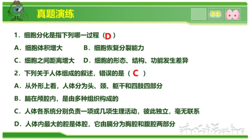 第三章从细胞到生物体（串讲课件）-七年级生物上学期期中考点大串讲（人教版2024）(共40张PPT)