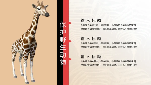 保护野生动物狮子通用PPT模板