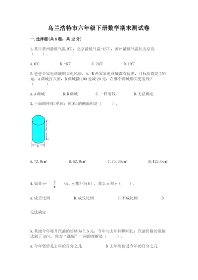 乌兰浩特市六年级下册数学期末测试卷（考点梳理）.docx