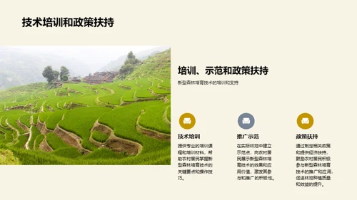 探索新时代森林培育