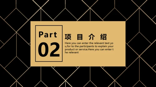 BUSIESS PLAN 商业融资计划书通用PPT模板
