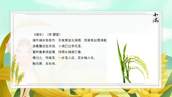 食粮丰收麦穗小满PPT模板
