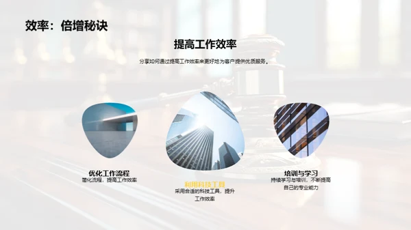 法律领域年度总结