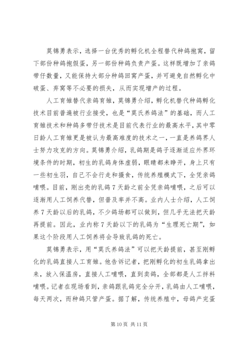 初养肉鸽注意要点.docx