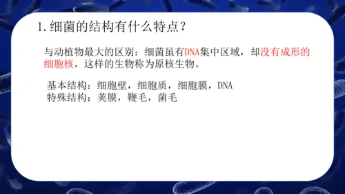 人教版生物七年级上册2.3.2《细菌》课件(共24张PPT)