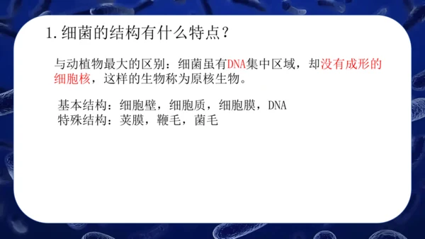 人教版生物七年级上册2.3.2《细菌》课件(共24张PPT)