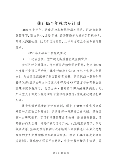 统计局半年总结及计划.docx