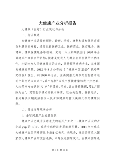 大健康产业分析报告.docx