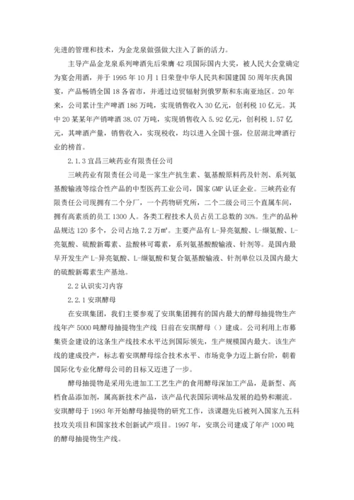 认识与实习报告汇总八篇.docx