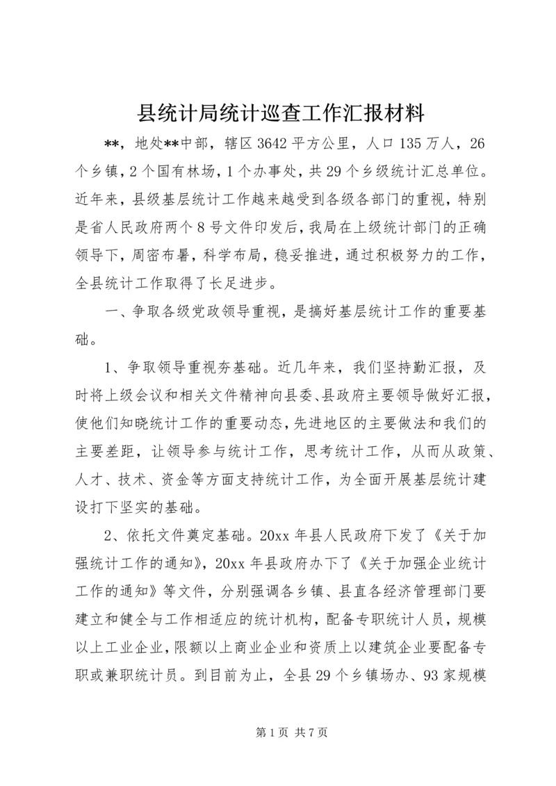 县统计局统计巡查工作汇报材料 (2).docx
