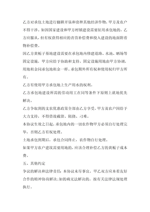 山地承包经营权合同书1篇