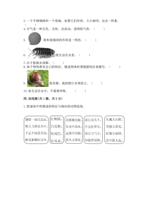 教科版一年级下册科学期末测试卷带精品答案.docx