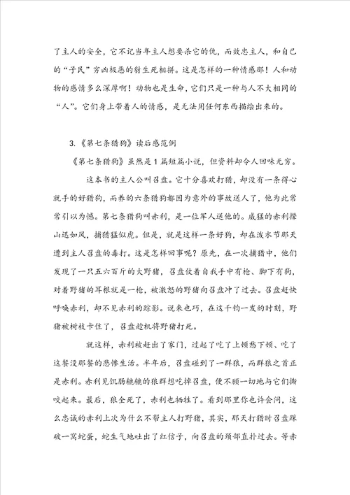 第七条猎狗读后感范文