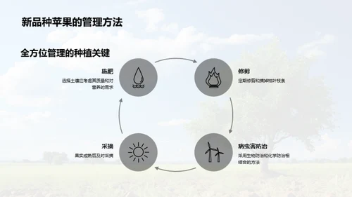 新品种苹果种植展望