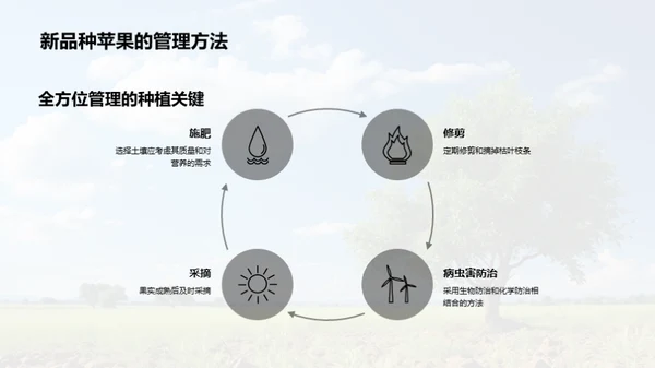 新品种苹果种植展望