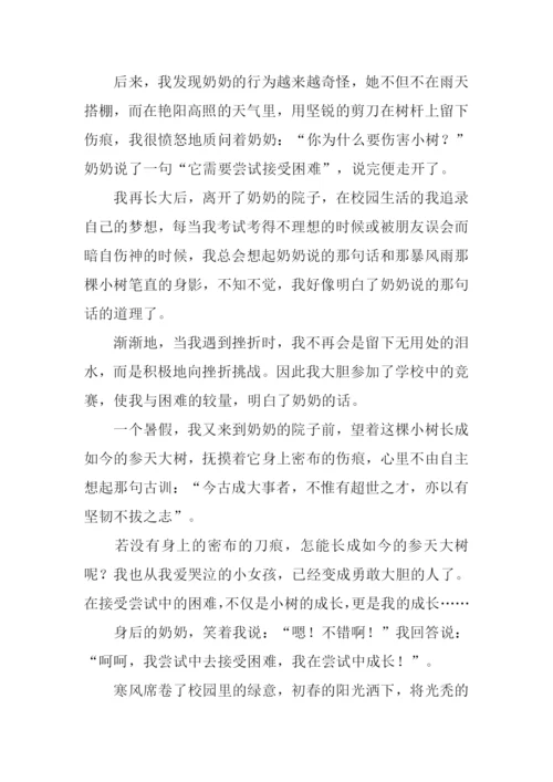 在尝试中成长初三作文.docx