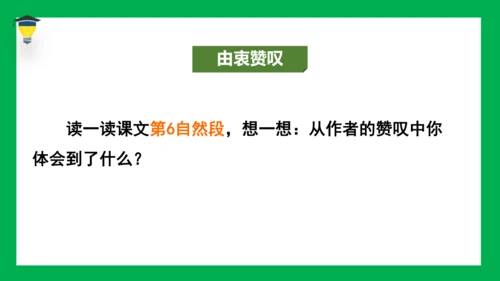 19 牧场之国 课件