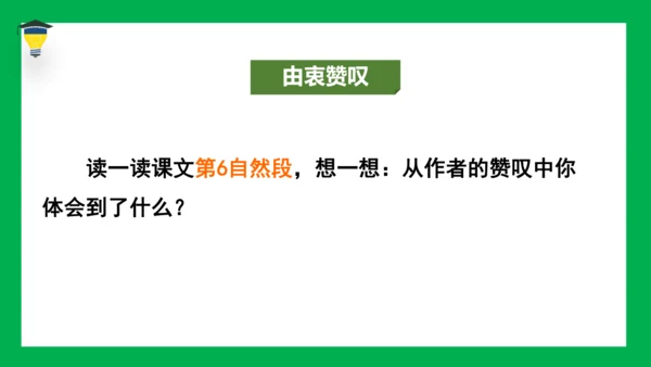 19 牧场之国 课件