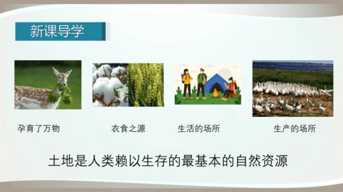 3.2土地资源（课件34张）-【2024秋人教八上地理精简课堂（课件）】