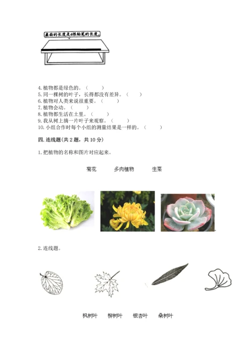 教科版一年级上册科学期末测试卷精品加答案.docx