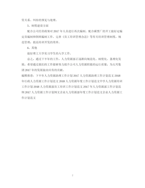 精编之下半年人力资源工作计划范文.docx