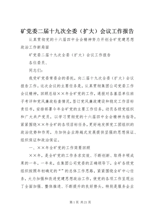 矿党委二届十九次全委（扩大）会议工作报告 (2).docx