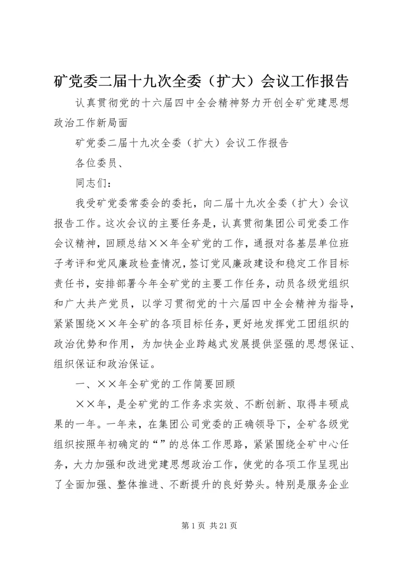 矿党委二届十九次全委（扩大）会议工作报告 (2).docx