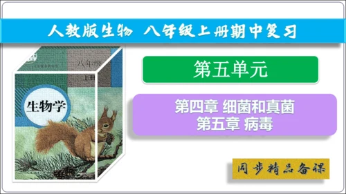 【人教八上生物期中复习考点梳理+临考押题】第四、五章 细菌、真菌和病毒（串讲课件）(共30张PPT)