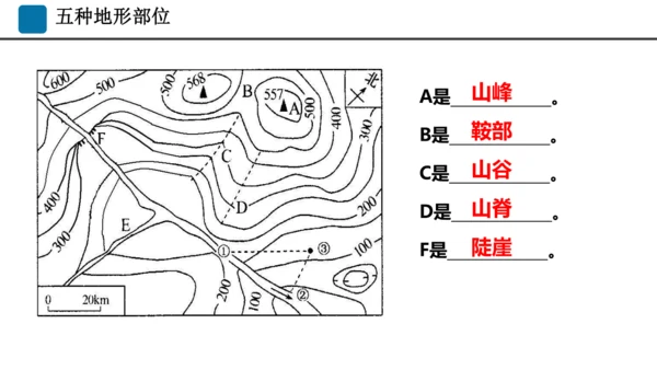 期末总复习：读图填图突破（课件59张）-2024-2025学年第一学期人教版七年级地理