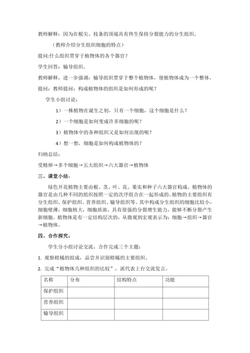 植物体结构层次教案