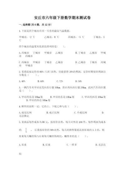 安丘市六年级下册数学期末测试卷精品附答案.docx