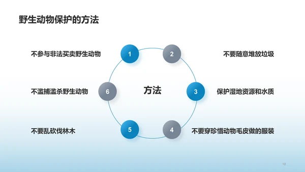 蓝色保护环境爱护动物培训课件PPT