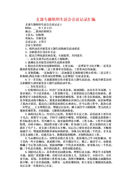 支部专题组织生活会会议记录汇编