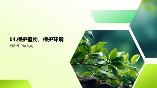 绿色力量：揭秘植物世界