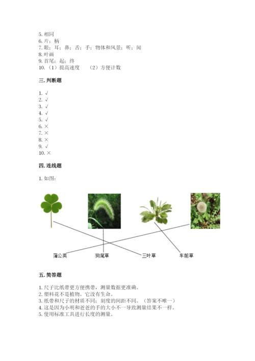 教科版一年级上册科学期末测试卷【综合题】.docx