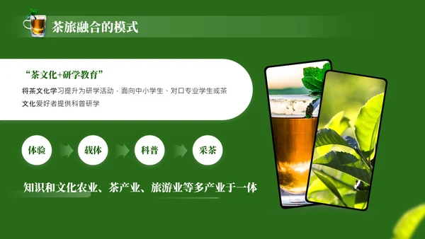 茶文化采茶旅游PPT模板_采茶之旅与文化体验报告PPT模板