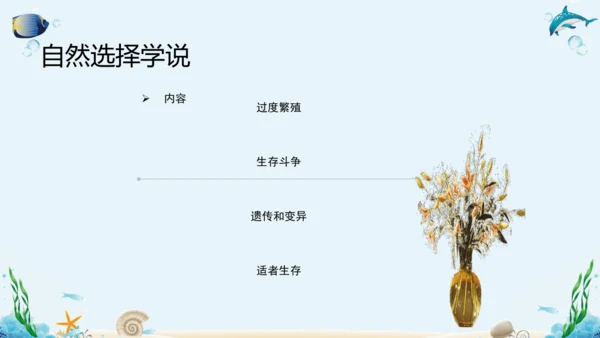 人教版八年级下册生物复习课件