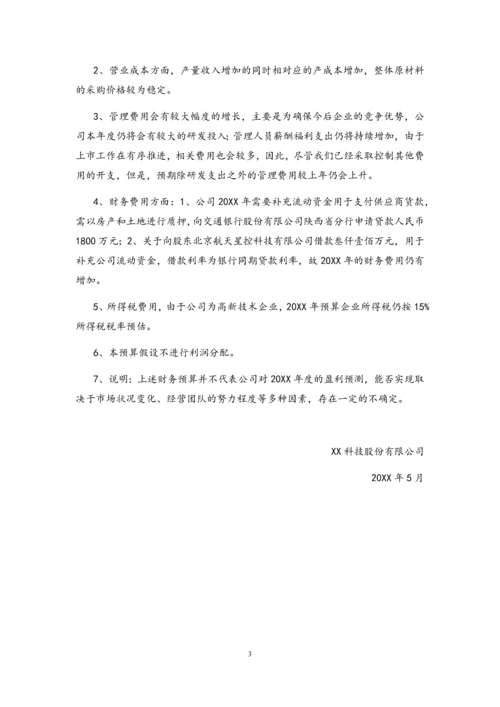 12-年度财务预算报告.docx