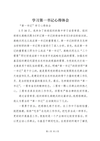 学习第一书记心得体会 (5).docx