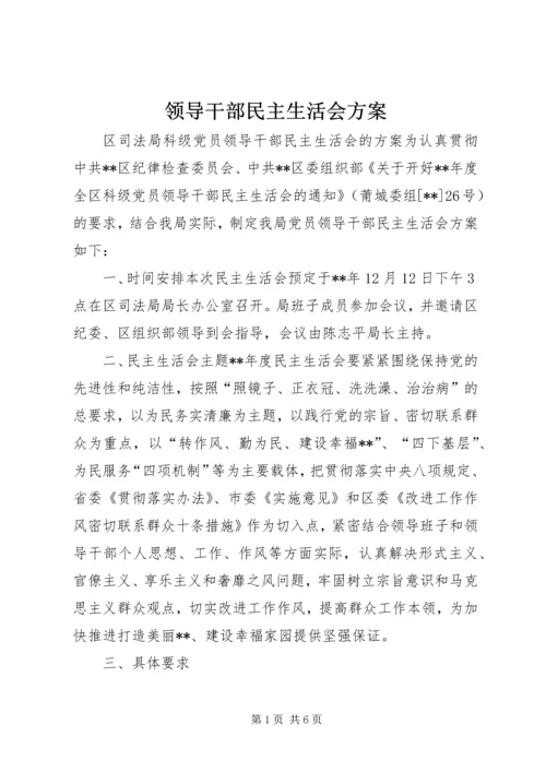 领导干部民主生活会方案.docx