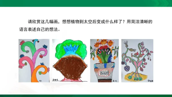 人教版一年级下册美术11《太空里的植物》精品课件