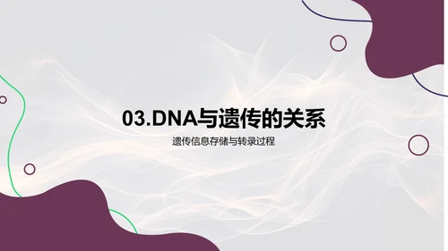 DNA复制高中教学