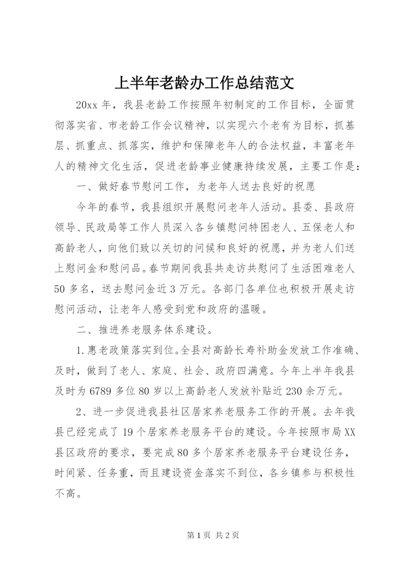 上半年老龄办工作总结范文.docx