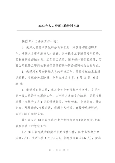 2022年人力资源工作计划5篇.docx