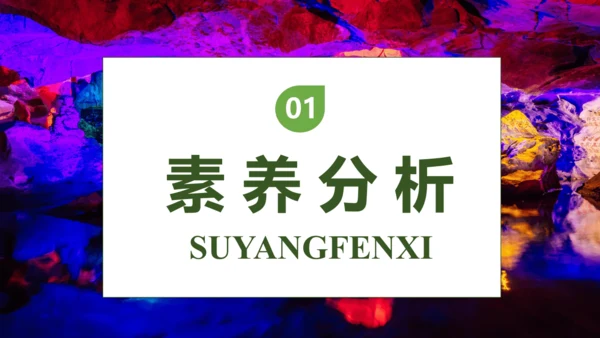 【核心素养】部编版语文四年级下册-17.记金华的双龙洞 第1课时（课件）