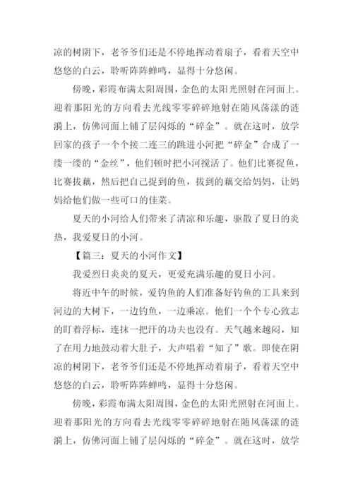 夏天的小河作文.docx