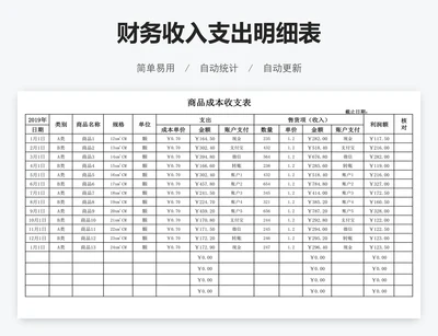 财务收入支出明细表